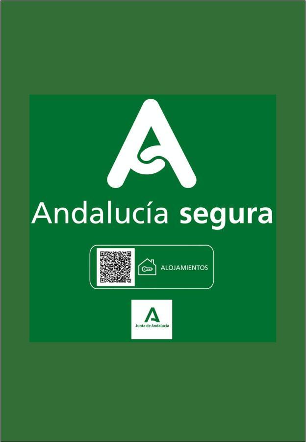 Holidays2Malaga Calle Nueva High Speed Wifi Zewnętrze zdjęcie